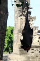 Tanahlot. Fruit bat, Bali Indonesia